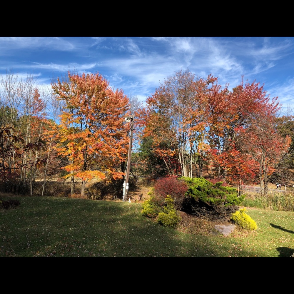 Meet your Posher, Caroline